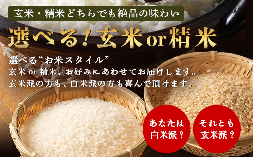 令和7年産 鹿島市産 [さがびよりor夢しずく] 5kg 1袋 【品種指定不可】 玄米 精米 10月初旬から発送開始予定　C-154