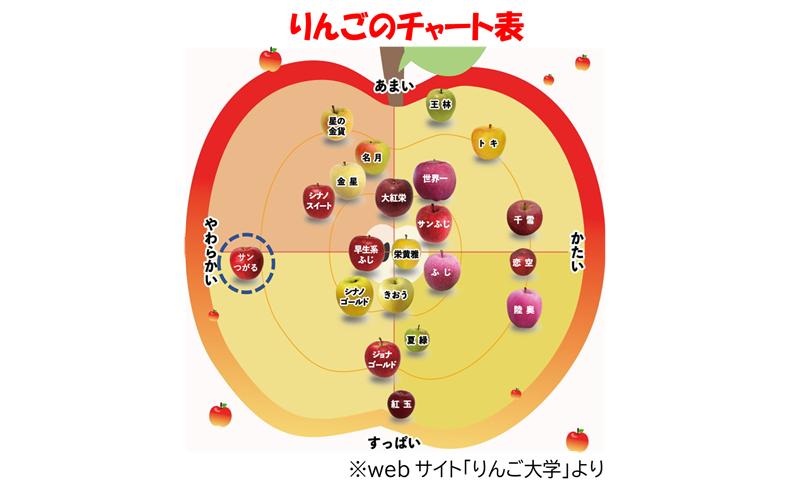 【9月・10月発送】家庭用 早生ふじ 約5kg【西目屋村産・青森りんご】 りんご 林檎 リンゴ 果物 フルーツ くだもの 旬 青森県産 お取り寄せ 詰め合わせ セット 常温 産地直送 送料無料 青森県