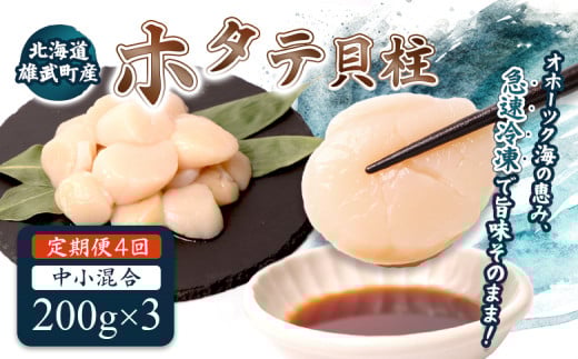 【定期便4回】　北海道雄武町産ほたて貝柱 中小混合 200g×3 (冷凍) 使い切りパック　| ふるさと納税 北海道 雄武 ホタテ 帆立 ほたて 小粒 中粒 大粒 200g×3 2.4kg 冷凍 オホーツク オホーツク産 刺身 魚貝 魚介 海鮮 海産 海産物 魚介類 お取り寄せ ワンストップ マイページ 雄武漁業協同組合【07138】