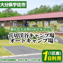 【ふるさと納税】岳切渓谷キャンプ場 オートキャンプ場 1日利用(1区画)アウトドア キャンプ場 キャンプ チケット 1日利用【104800100】【宇佐市役所院内支所産業建設課】