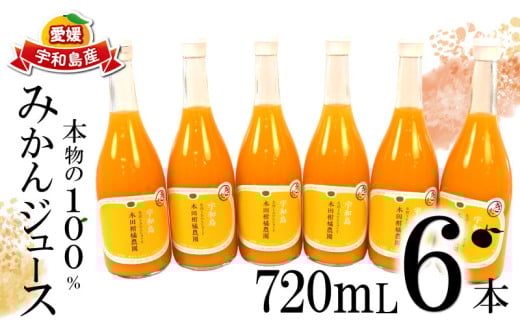 みかんジュース 本物の100％みかんジュース 720ml × 6本 木田柑橘農園 南柑20号 温州みかん 温州蜜柑 みかん mikan ストレート オレンジ 果汁100％  ストレートジュース 果物 くだもの フルーツ  ギフト プレゼント 国産 愛媛 宇和島 H022-185005