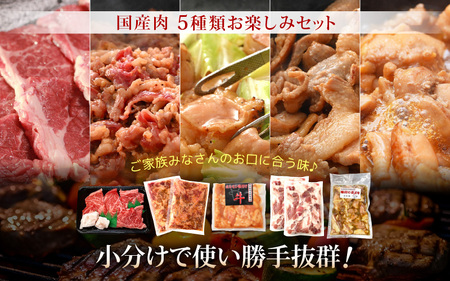 国産 お楽しみ 焼肉セット 合計1.4kg以上【牛肉ロース 味付け肉 牛ホルモン 豚肉 鶏肉 小分け 便利 BBQセット】 [e03-b004]