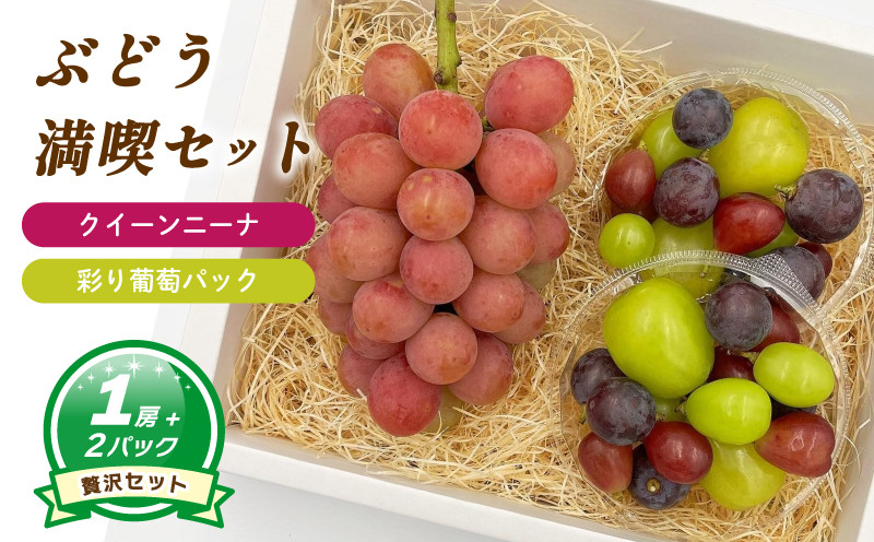 
                  クイーンニーナ + 彩り葡萄パック 約550g ( 大1房 ) 彩り葡萄パック 約270g ( 2パック ) 【2026年8月下旬頃から順次発送】 | ぶどう クイーンニーナ 種なし 大粒 数量限定 愛媛県産 松山市 
                