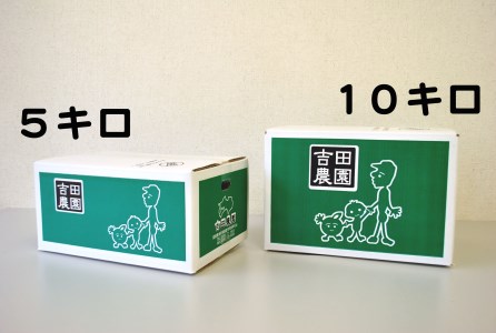 訳あり 河内晩柑 愛南ゴールド 10kg 河内晩柑 吉田農園