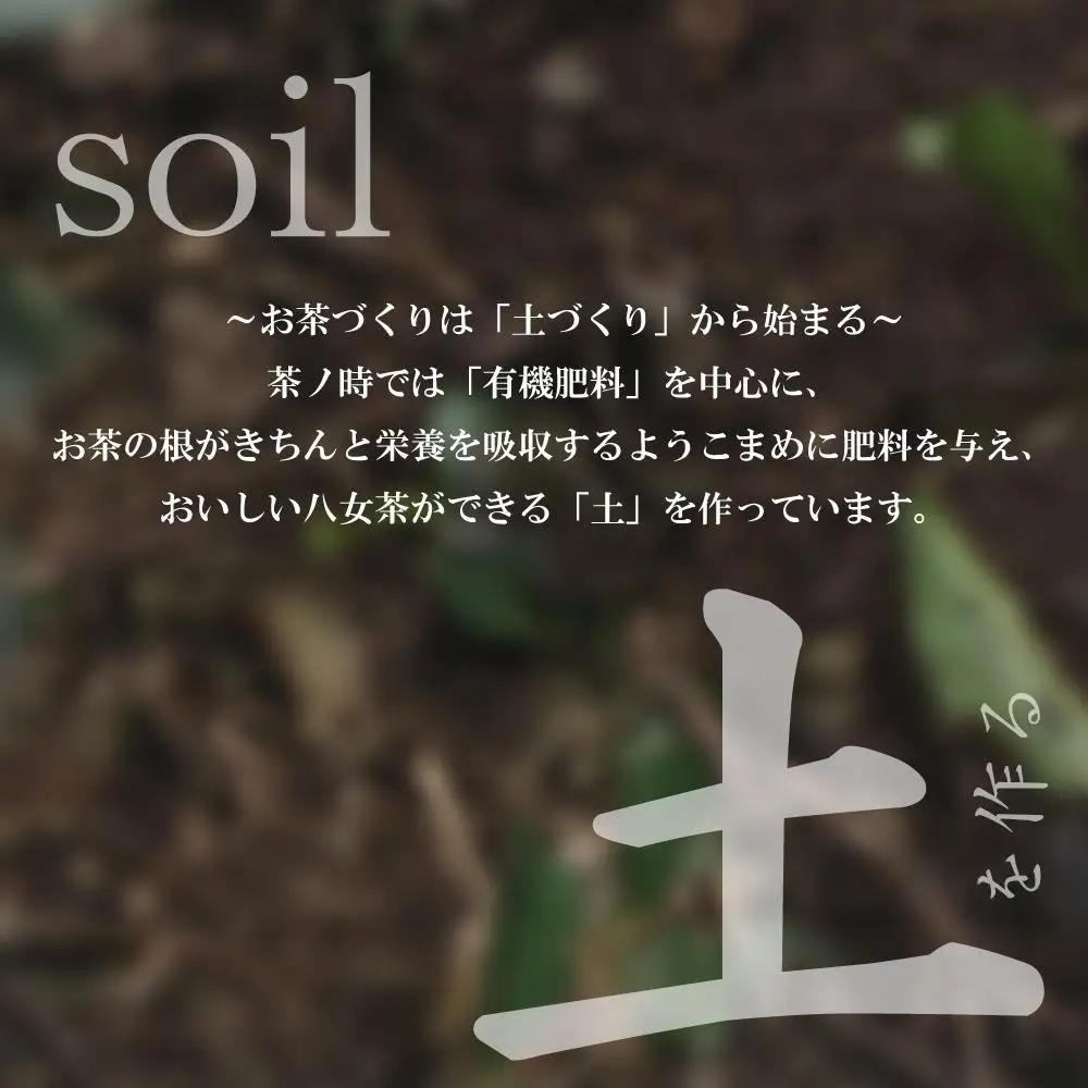 原田茶園 極上煎茶ティーバッグ 麗至 2袋(56g/14包)【八女茶】