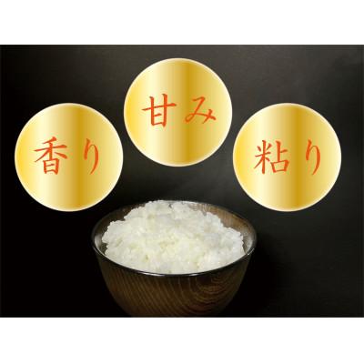 ふるさと納税 南魚沼市 【南魚沼産】コシヒカリ 白米 5kg 香り高く冷めてもおいしい農tistのお米 |  | 01