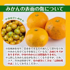 i571 ＜2024年11月下旬～2025年1月下旬の間に発送予定＞【特別栽培・最高金賞】温州みかん日本一！濃甘あめ玉みかん(計約12kg・6kg×2箱＋傷み保障 約200g(3～4玉) みかん 蜜柑