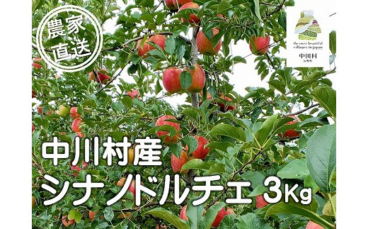 担当者おすすめ「味覚の里なかがわ」の旬のくだもの（シナノドルチェ３Kg箱）９月中旬発送予定