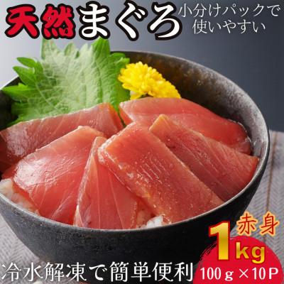ふるさと納税 三浦市 【小分けパックで使いやすい】切れてる天然マグロ100g×10p【神奈川県漁連】