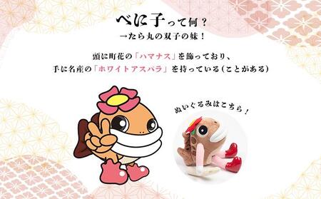 たら丸＆べに子 定番3点セット ぬいぐるみ 文房具 キャラクター F21H-544