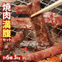 【ふるさと納税】大畠精肉店の焼肉満腹セット（計6種3kg） オンライン 申請 ふるさと納税 北海道 新十津川 焼肉セット 焼き肉セット カルビ サガリ ホルモン ジンギスカン 焼き肉 BBQ バーベキュー 冷凍 お取り寄せ 取り寄せ 新十津川町【13011】