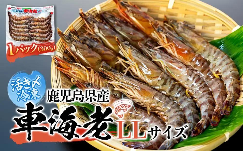 鹿児島県産 活き〆冷凍 車海老（養殖）LLサイズ 300g（10～12尾）1パック セット【 海老】