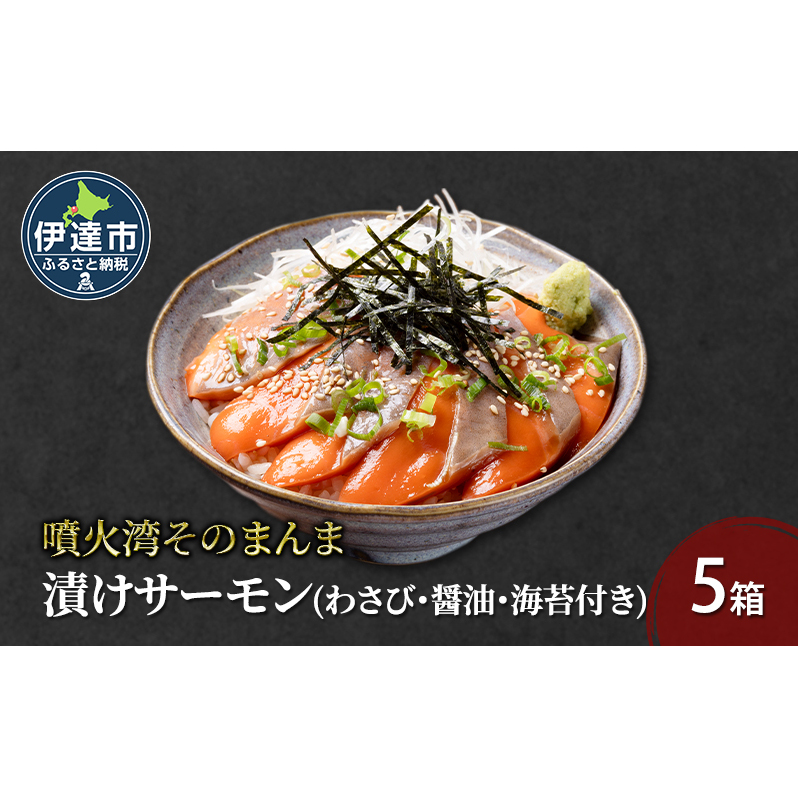 噴火湾そのまんま 漬けサーモン(わさび・醤油・海苔付き)5箱 旬菜一鮮 だて大和屋 厳選 魚介 海鮮 刺身 刺し身 小分け 新鮮 魚介類 魚貝類 加工食品 贈答 ギフト 贈り物 ご褒美
