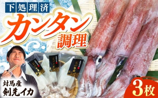 【対馬産】 剣先 イカ （ 生 冷凍 ）3枚 《対馬市》【石川水産】刺身 塩辛 鮮度抜群 海鮮 [WAB003]冷凍 新鮮 下処理 刺身 海鮮 剣先いか あかいか まるいか  おつまみ もう1品 真空パック 簡単調理