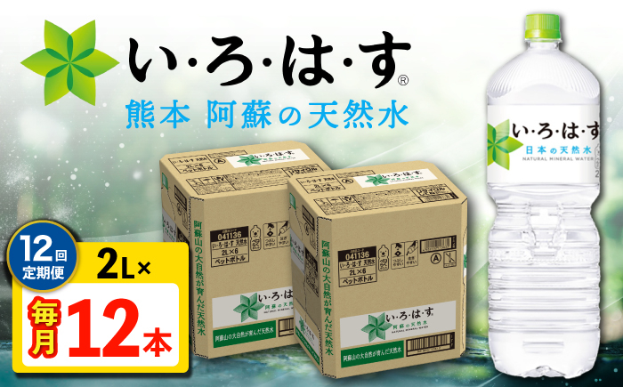 
            【全12回定期便】い・ろ・は・す 阿蘇の天然水 2L 12本×12回 計144本 2L×6本×2ケース 【コカ・コーラボトラーズジャパン株式会社】 水 ミネラルウォーター 飲料水 コカコーラ ドリンク 2l 2L ペットボトル 天然水 定期便 [AYAA018]
          