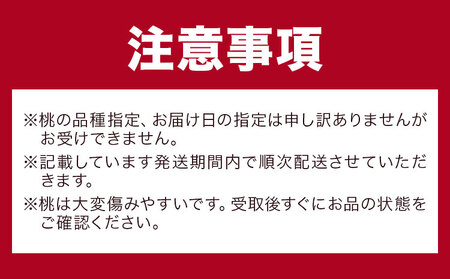 黄金桃 6玉 【配送不可地域あり】桃