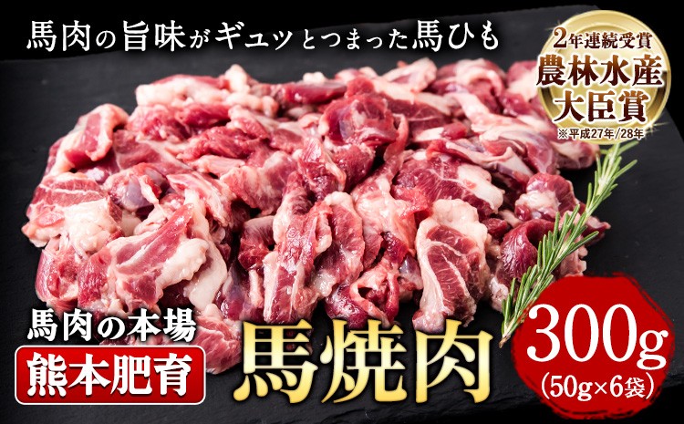 
                  馬ひも焼肉用300g（50gx6袋） 肉 馬ひも 馬肉 熊本県南関町《90日以内に出荷予定(土日祝除く)》
                