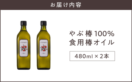 やぶ椿 100％ 食用 椿オイル 480ml 2本 セット KN080-001-01 椿油 椿油100% 食用油 ハヤシ ふるさと納税 鹿児島 鹿屋市 おすすめ ランキング プレゼント ギフト