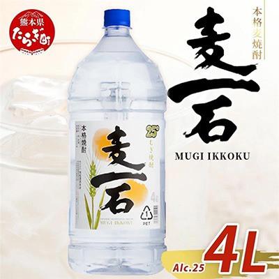 ふるさと納税 多良木町 【麦一石】4L エコペット 25度(多良木町)