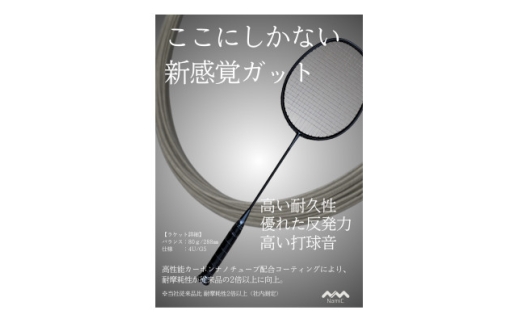 カーボンナノチューブガットモデル・バドミントンセット(ガット張上・ケース付)19lbs×コスキン坊や【1697166】