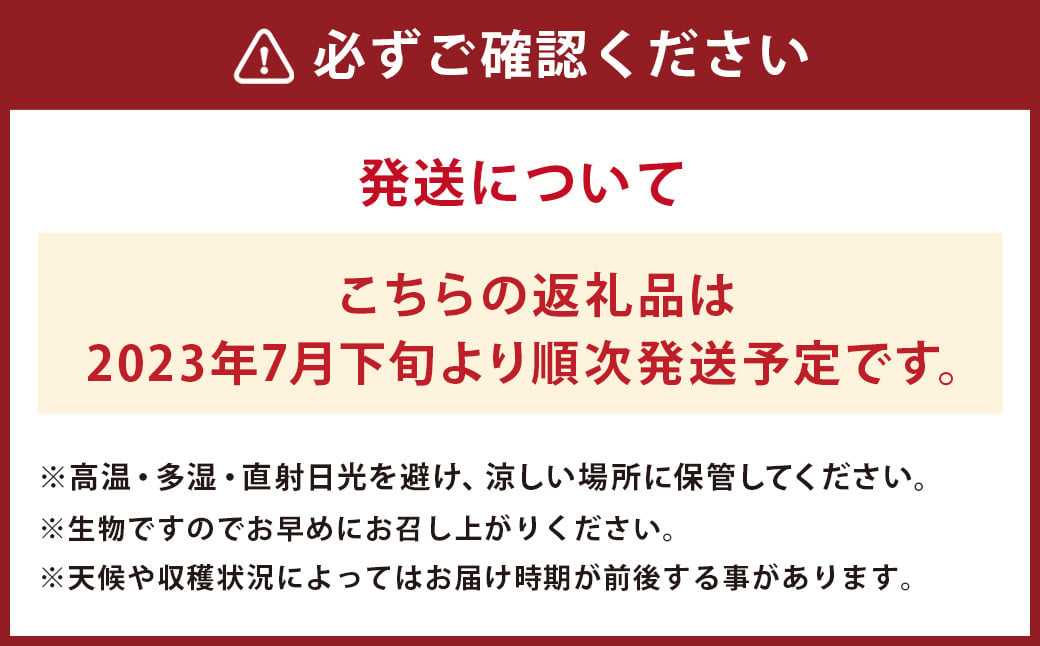 【2023年7月下旬より発送】アールスメロン 1玉  2L以上 メロン フルーツ 果物 くだもの 【メロンドーム】