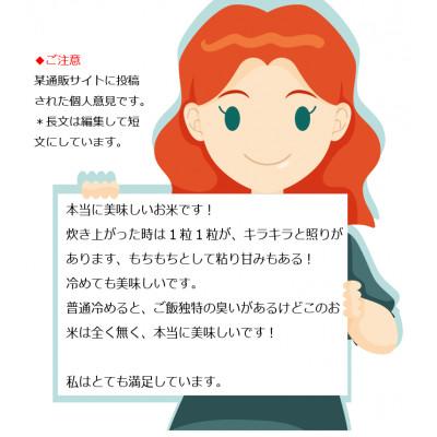ふるさと納税 真庭市 【令和8年 新米 予約 10月発送】ミルキークイーン 白米 10kg  5kgx2 岡山の雪国産 |  | 01