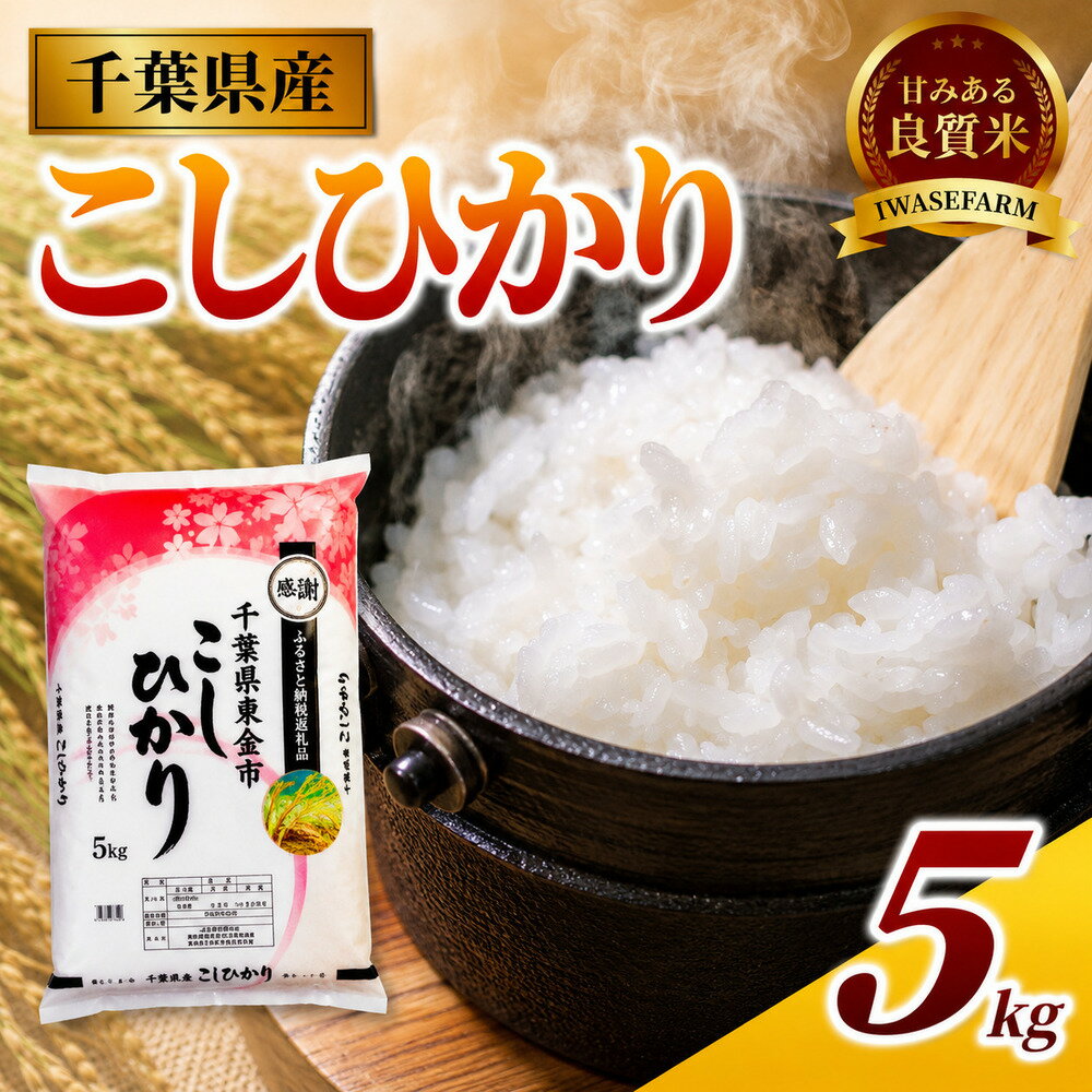 【ふるさと納税】 コシヒカリ 5kg 米 お米 こめ コメ こしひかり 7年度産 千葉県産 kome okome 精米 白米 ご飯 ごはん 米 ごはん 備蓄米 国産 炊飯 ※ ブランド米 甘い ツヤ ギフト 贈答 甘み 粘り リピート kosihikari 農家直送 数量限定 産地直送 有限会社岩瀬 千葉県 東金