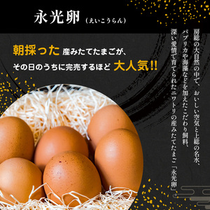 【 定期便 6回 】メディア紹介多数！ おいしいたまご 永光卵 30個 | えいこうらん 光永ファーム 卵 たまご 定期便 定期 6回 君津市産 千葉 君津 きみつ