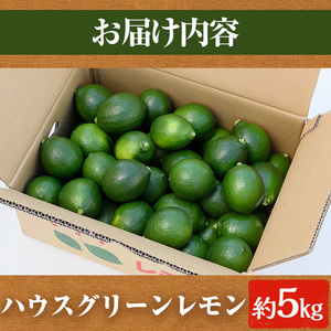 数量限定！ハウスマイヤーグリーンレモン(5kg) 国産 檸檬 果実 果物 フルーツ 柑橘 デザート お菓子作り 期間限定 数量限定【桐野柑橘株式会社】akn070-18