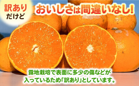 【2027年2月中旬以降発送】【訳あり】せとか 計3kg（2.6kg＋400g傷み保証分） S-3Lサイズ / 佐賀県 / 山本農園 [41ATBT010]