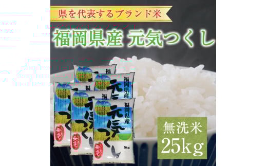 令和6年産 福岡県産元気つくし無洗米25kg(5kg×5) [a7198] 株式会社 藤食糧 【返礼品】添田町 ふるさと納税