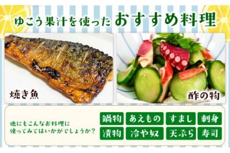 有機ゆこう 果汁 150ml×3本 株式会社阪東食品 《30日以内に出荷予定(土日祝除く)》有機 調味料 柑橘 ゆこう 柚香 瓶 有機JAS認定 徳島県 上勝町 送料無料