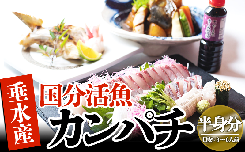【鹿児島県垂水市産】カンパチ（半身）　甘口さしみ醤油付き
