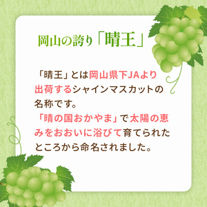ぶどう 2026年 先行予約 シャイン マスカット 晴王 約600g×2房 ブドウ 葡萄  岡山県産 国産 フルーツ 果物 ギフト シャインマスカット 美しい 大粒 種なし 弾力 高糖度 甘い