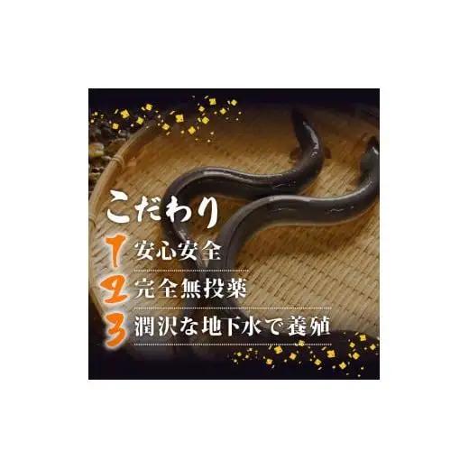【 うなぎ蒲焼き 】 高知県産 うなぎ蒲焼き 100g～120g 3尾 セット ( うなぎ 蒲焼き スタミナ 土用の丑の日 小分け )