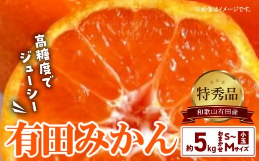 BD6035n_【２０２５年先行予約】高糖度 有田みかん 特秀品 5kg 小玉 (S～Mサイズおまかせ)