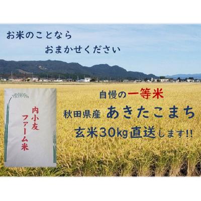 ふるさと納税 大仙市 米 令和7年産 秋田県産あきたこまち 一等米 農家直送 玄米30kg|22_uot-023001 |  | 01