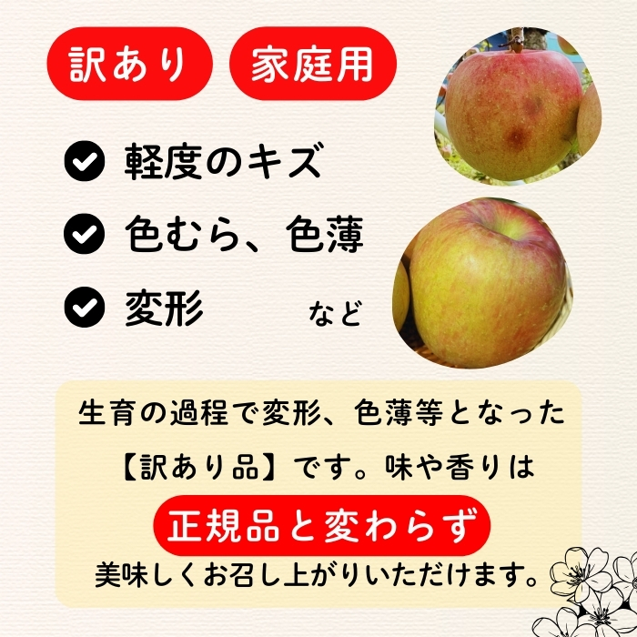 【先行予約】【訳あり】サンふじ 【約3kg(6〜14玉）】（2025年産） (7-A39-1)
