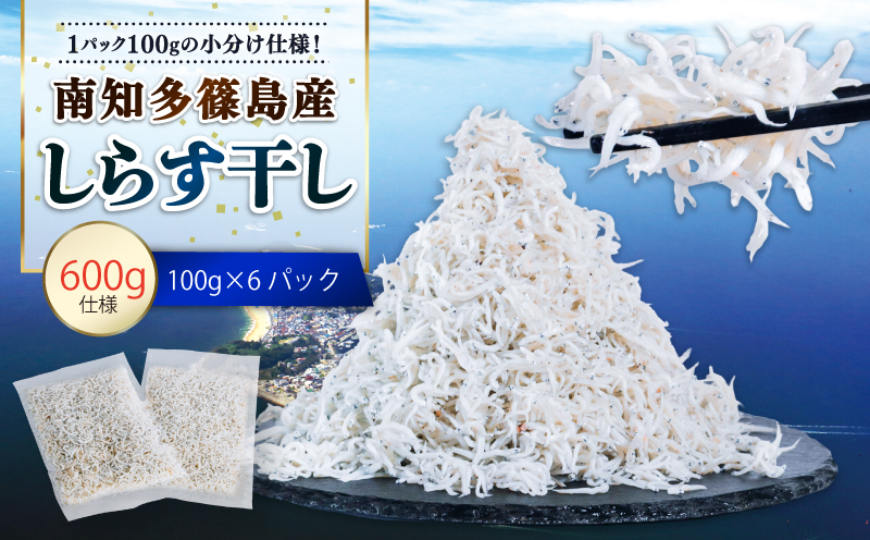しらす干し 約600g（100g×6パック） 南知多篠島産 大一商店 冷凍 小分け 愛知県 南知多町