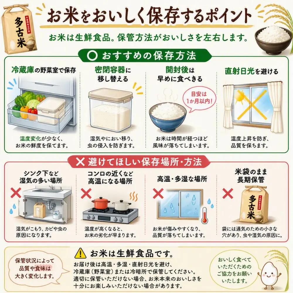 ＜令和7年産＞千葉県産 コシヒカリ 精米 10kg（10kg×1袋）【配送不可地域：離島・沖縄県】MT207674_021001