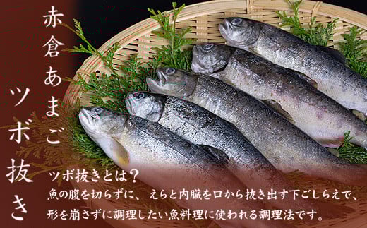 
あまごツボ抜き　2本入り　下処理済み　塩焼きや色々なお料理に
