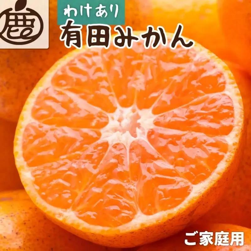 【先行予約】家庭用 有田みかん（完熟）2.5kg+250g（傷み補償分）※北海道・沖縄・離島への配送不可 / みかん 果物 柑橘 フルーツ ミカン 有田みかん【ikd173C】