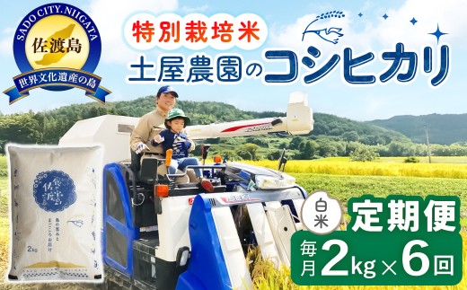 【6か月定期便 コシヒカリ】佐渡島産コシヒカリ 白米 合計12kg（2kg×毎月お届け全6回）令和8年産 新米 特別栽培米 | 新潟県産コシヒカリ 新潟産コシヒカリ 新潟コシヒカリ 佐渡産コシヒカリ 新潟県産こしひかり 佐渡産こしひかり お米 米 こしひかり 白米 精米 ブランド米 おこめ コメ 2キロ 少量 にいがた さど 新潟県 佐渡市
