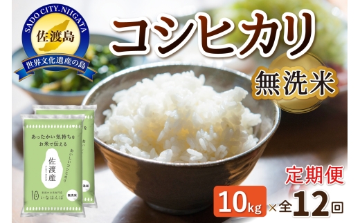 【12か月定期便】佐渡産コシヒカリ 無洗米10kg（5kg×2袋）×毎月 合計120kg | 新潟県産コシヒカリ 新潟産コシヒカリ 佐渡産コシヒカリ 新潟県産こしひかり 佐渡産こしひかり お米 米 こしひかり 無洗米 むせんまい 精米 ブランド米 おこめ コメ 10キロ にいがた さど 新潟県 佐渡市