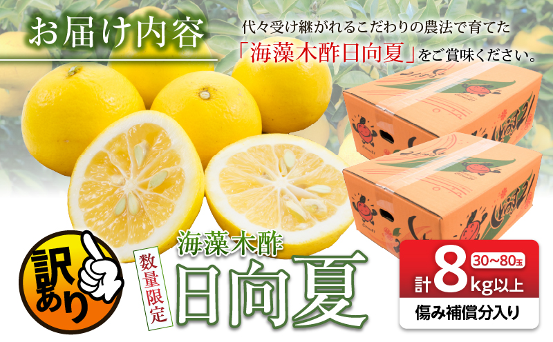 先行予約 訳あり 海藻木酢 日向夏 小夏 計8kg以上 傷み補償分入り 期間限定 数量限定 フルーツ 果物 くだもの 柑橘 みかん 訳アリ 国産 食品 デザート おやつ おすそ分け おすすめ ご家庭用