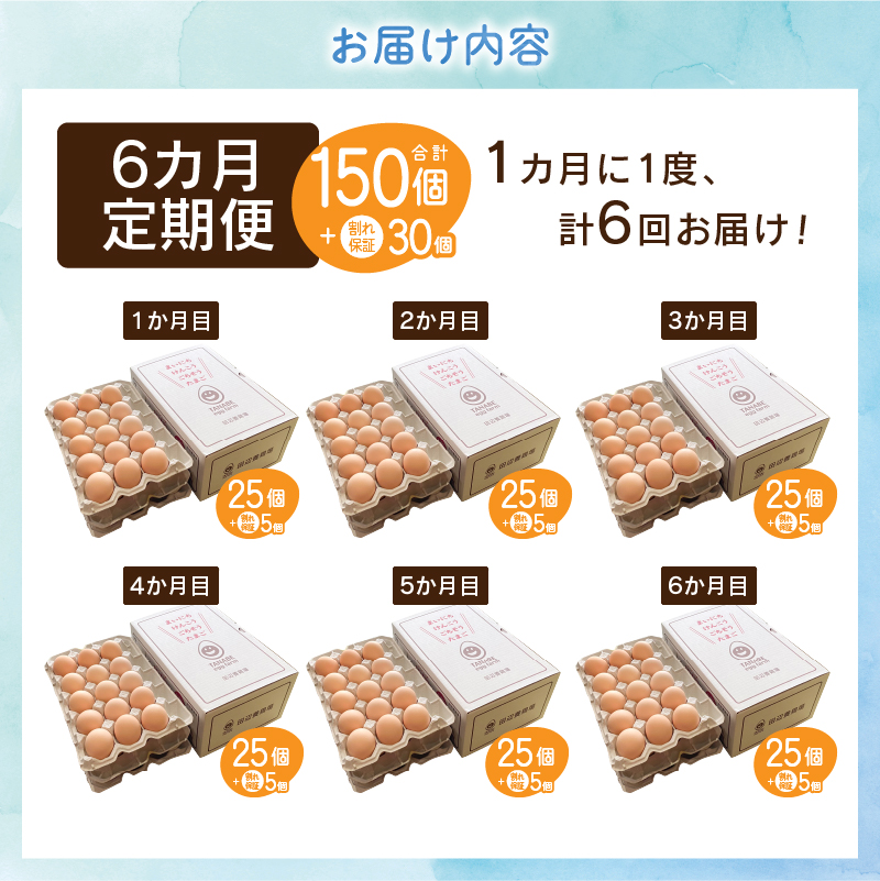 【6ヶ月定期便】”忍野の卵”旨味のピンク玉　※卵25個+割れ保証5個　計180個