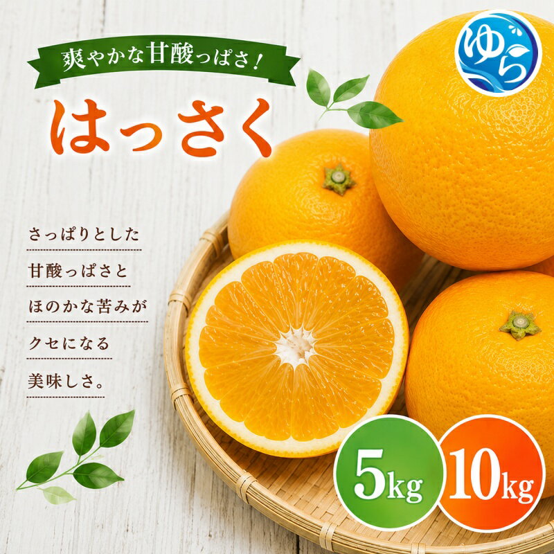 【ふるさと納税】和歌山県産 はっさく 5kg 10kg 不揃い サイズおまかせ / 八朔 柑橘 果物 和歌山 ※2027年2月中旬～3月中旬に順次発送予定 ※北海道・沖縄・離島配送不可