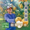 【ふるさと納税】【2024年先行予約】青柳果樹園の和梨 幸水 選べる「2kg」or「3kg」or「5kg」 《8月下旬から出荷》 果物 こうすい フルーツギフト 加茂市 青柳果樹園