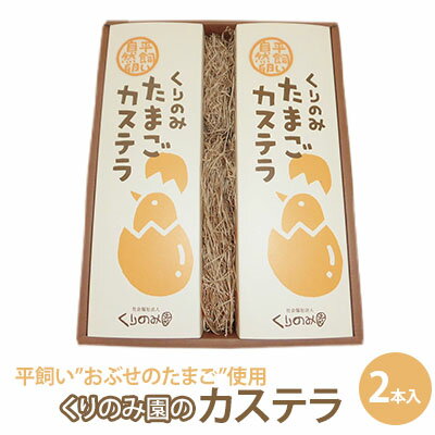 【ふるさと納税】くりのみ園のカステラ（2本入）　 お菓子 和菓子 和スイーツ スイーツ おやつ おぶせのたまご 風味豊か 卵のコク 厳選素材 ふんわり キメが細かい しっとり 有機JAS