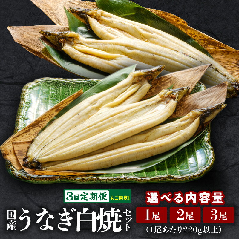 【ふるさと納税】【内容量・発送時期・定期便が選べる】うなぎ白焼セット 鰻 うなぎの白焼き たれ 惣菜 贈答 贈り物 ギフト プレゼント ご褒美 手土産 お祝い 冷凍 グルメ おすすめ 冬うなぎ 宮崎市